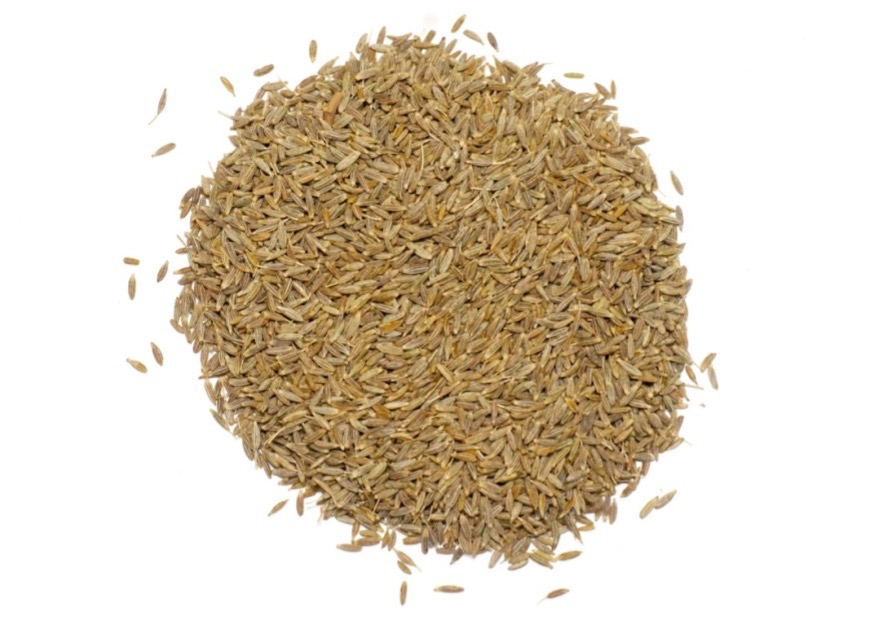 Cuminum Seeds - Image 2