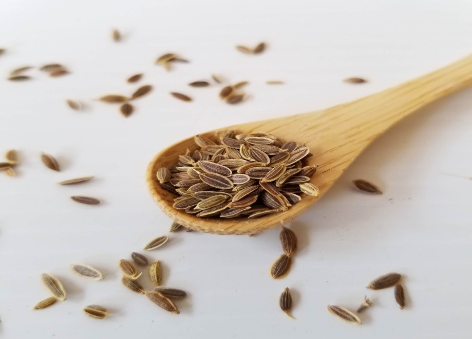 Dill Seeds - Image 2