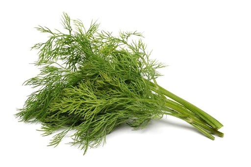 Dill Seeds - Image 3