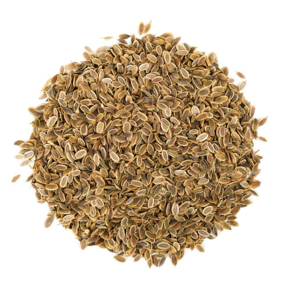 Dill Seeds