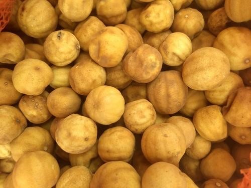 Dried Lemon - Image 2