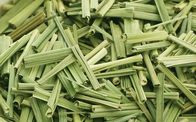 Lemon Grass - Image 2