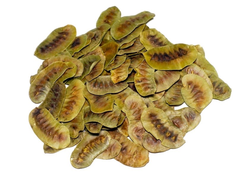 Senna Pods/ Leaves - Image 2