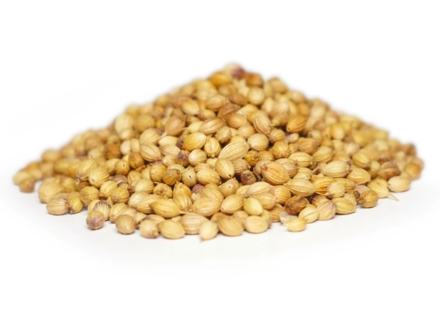 Coriander Seeds