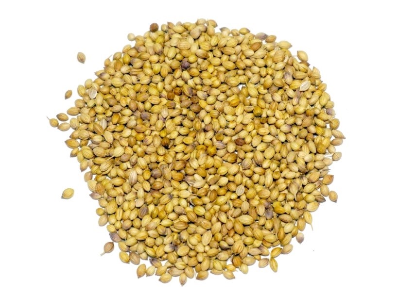 Coriander Seeds - Image 2